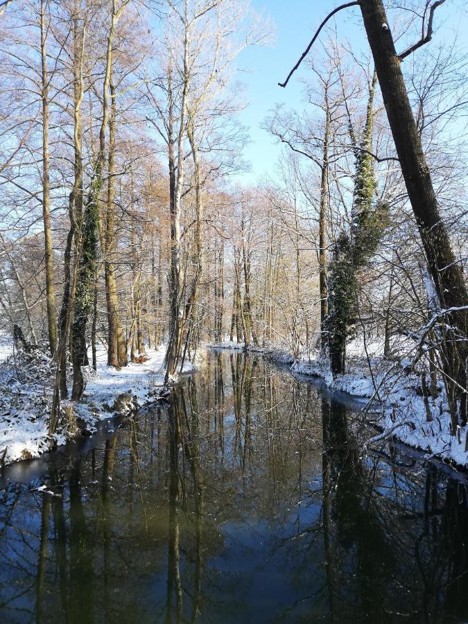 דירות Burg Kauper Gruener Wald מראה חיצוני תמונה